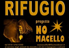 cosa facciamo - nomacello